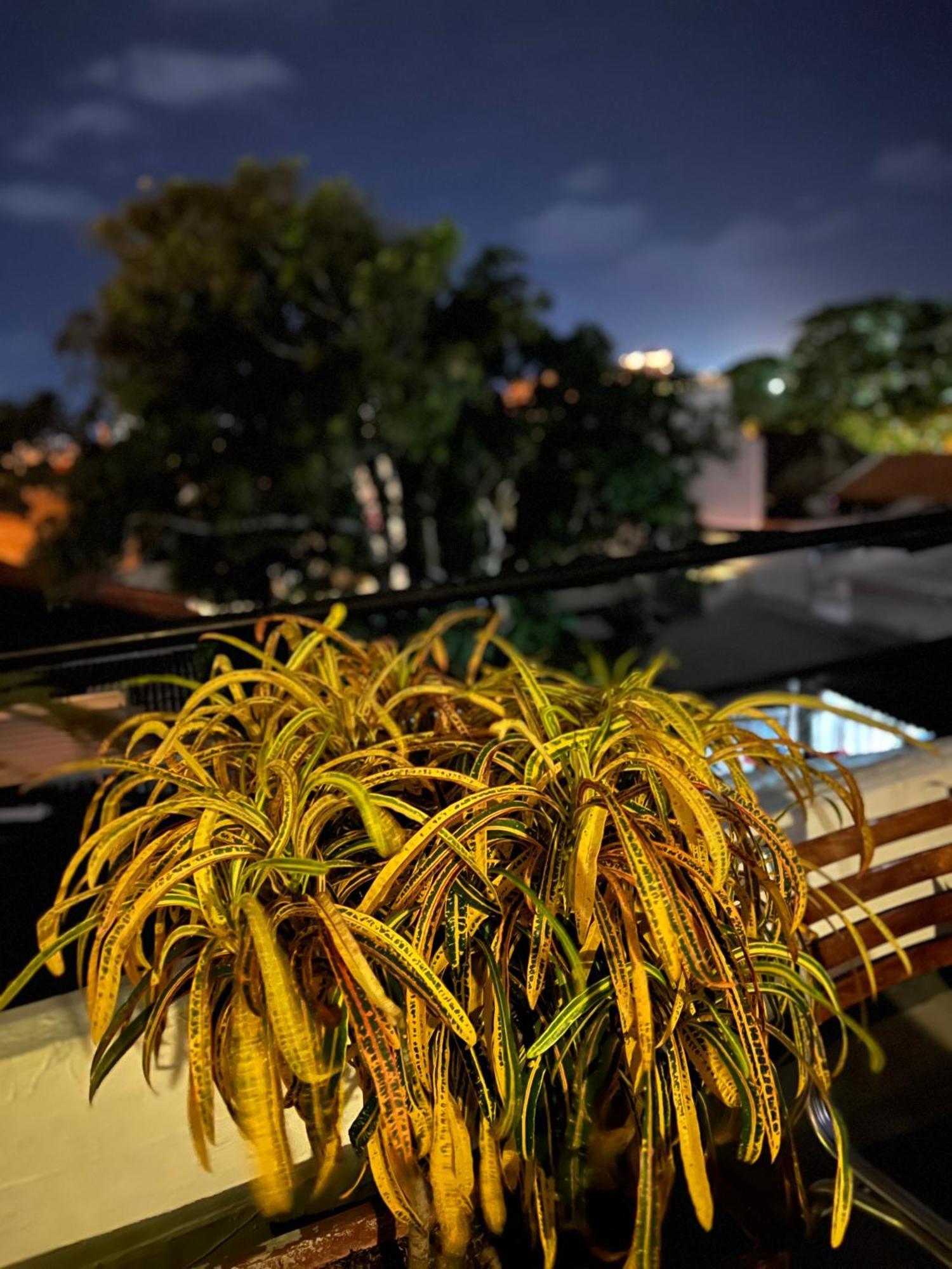 La Viduka Hostel Cartagena Dış mekan fotoğraf